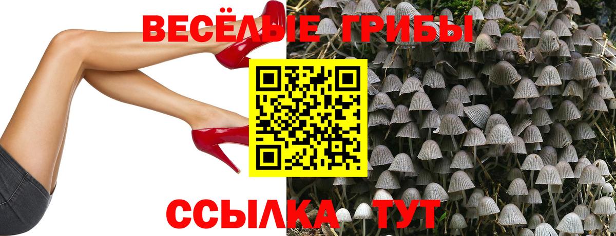 Рубцовск  Галлюциногенные грибы Psilocybe  Вход с VPN 